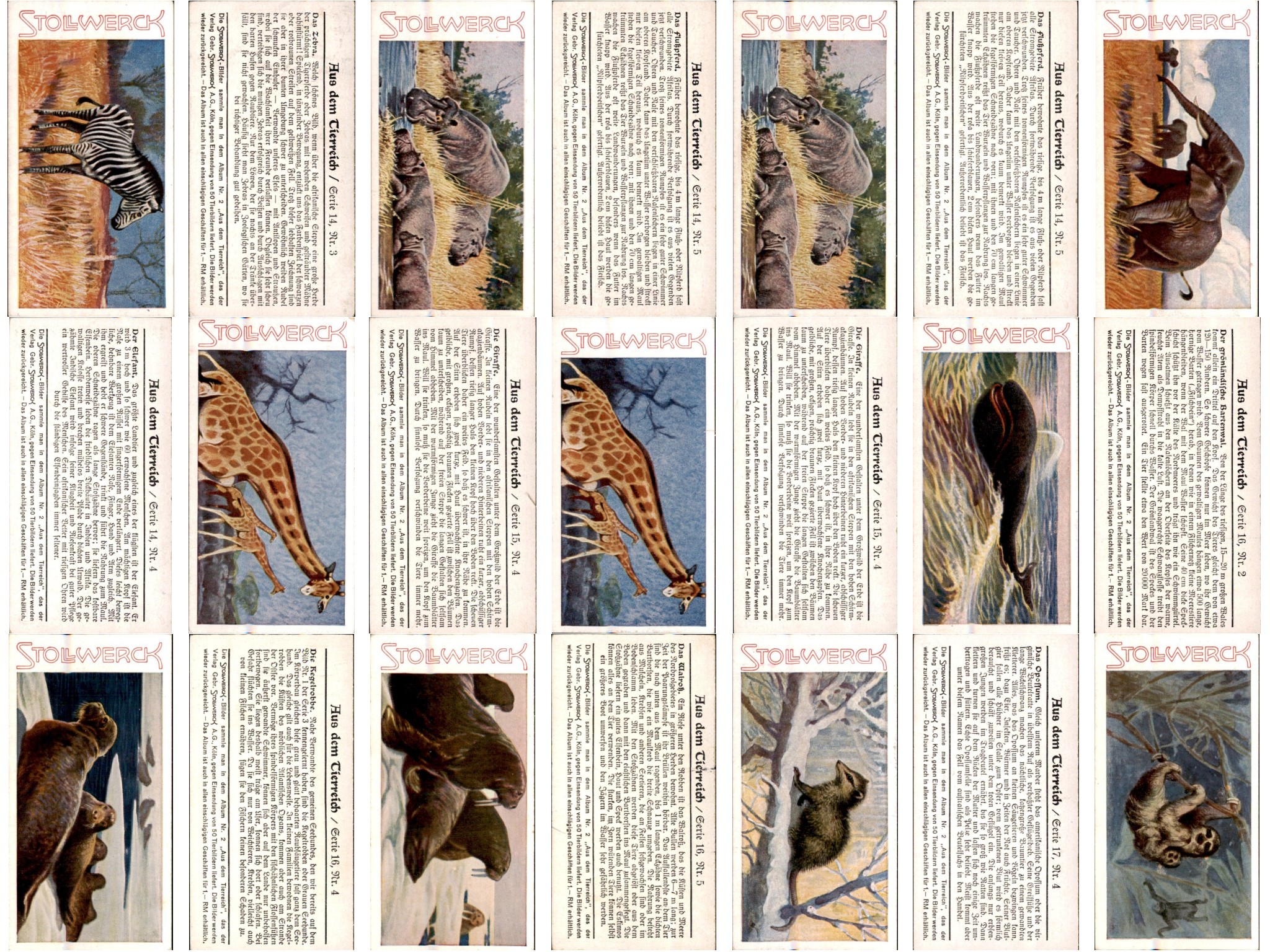 /Germany/Stollwerck/Animals/Aus dem Tierreich05.jpg